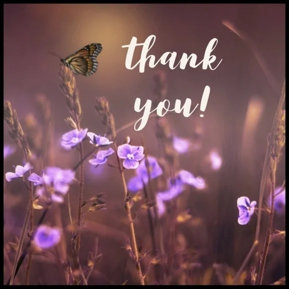 🦋 WELCOME TO MY CLOSET 🦋 - Picture 3 of 4